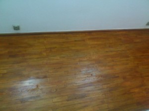 Dusumea lemn stejar Bucuresti