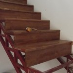 scari lemn pe structura din metal